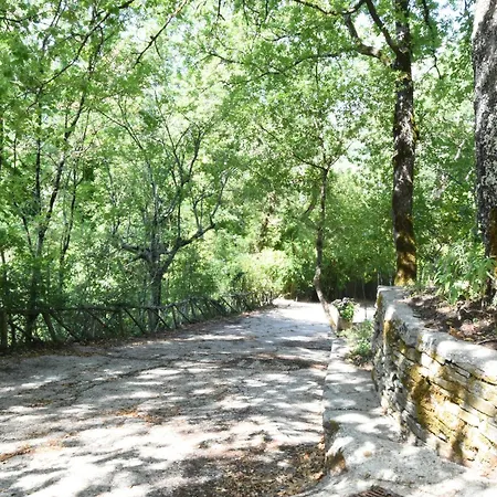 Il Castello Nel Bosco *