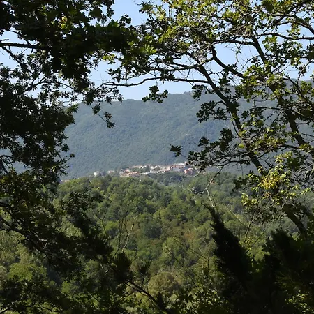 Il Castello Nel Bosco Bed & Breakfast *