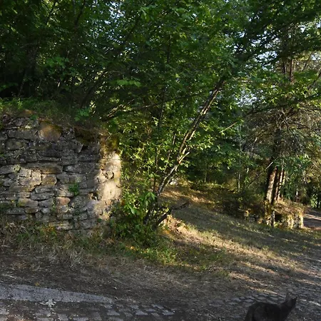 Il Castello Nel Bosco Bed & Breakfast Gerano