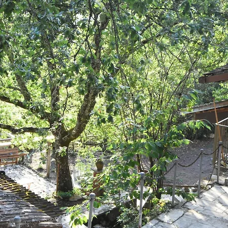 Bed & Breakfast Il Castello Nel Bosco
