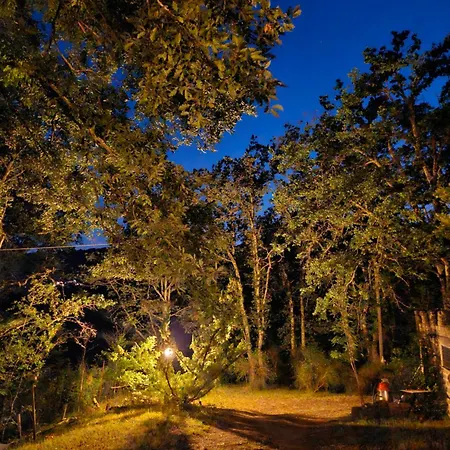 Il Castello Nel Bosco