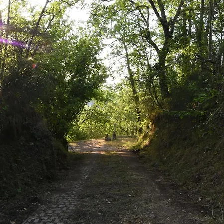 Il Castello Nel Bosco Bed & Breakfast *