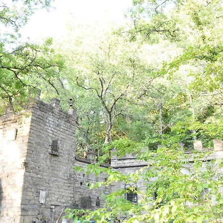 Il Castello Nel Bosco